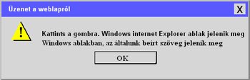 Windows �zen� ablaka